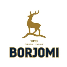 აიდიეს ბორჯომი საქართველო