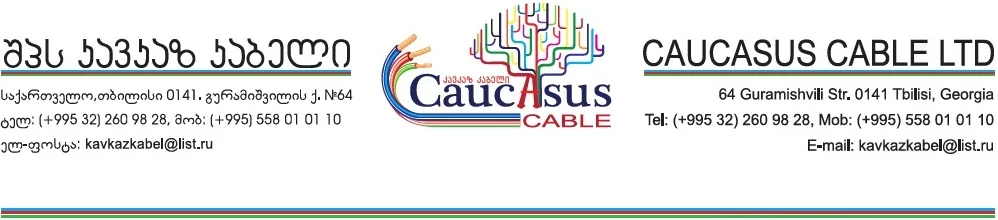 ავაშენეთ მომავლის გზის სახლი